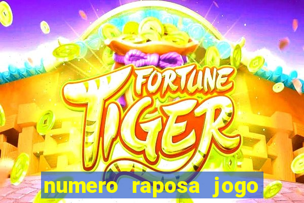 numero raposa jogo do bicho